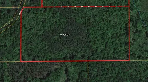 Parcel 4 Runnels Rd., Hazlehurst, MS 39083