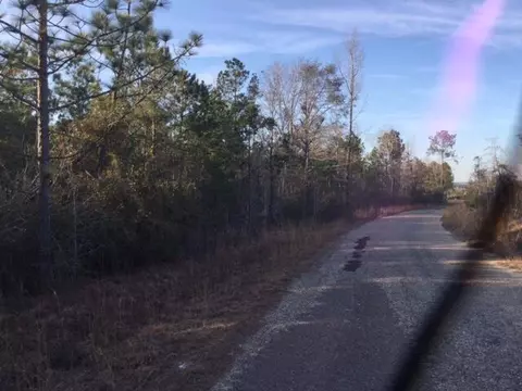 03 S County Line Rd, Lumberton, MS 39455