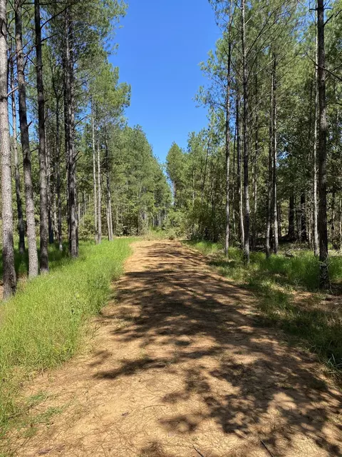 6 43 Acres Old River Rd, Moselle, MS 39459
