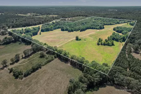 100 Acres Mount Olive Rd, Mount Olive, MS 39119