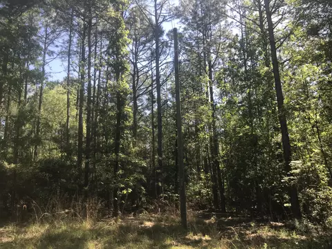 900 Browns Bridge Rd, Hattiesburg, MS 39401