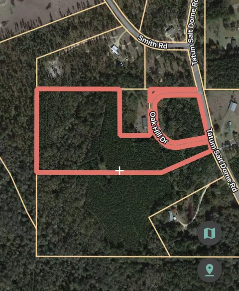 Nhn Tatum Salt Dome Rd., Lumberton, MS 39455