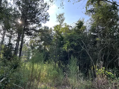 74 Section 24 Rd, Shubuta, MS 39360