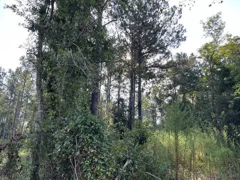 74 Section 24 Rd, Shubuta, MS 39360 photo 2