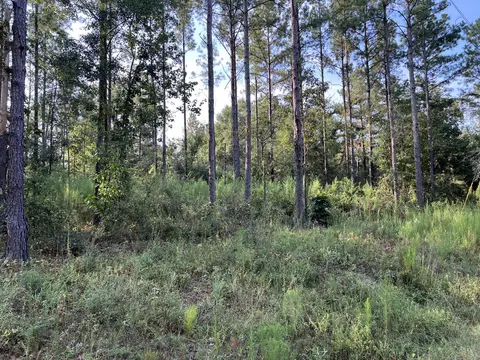 74 Section 24 Rd, Shubuta, MS 39360 photo 4