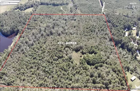 74 Section 24 Rd, Shubuta, MS 39360 photo 6