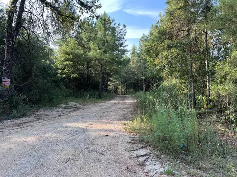 74 Section 24 Rd, Shubuta, MS 39360 photo 5