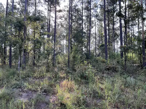 74 Section 24 Rd, Shubuta, MS 39360 photo 3