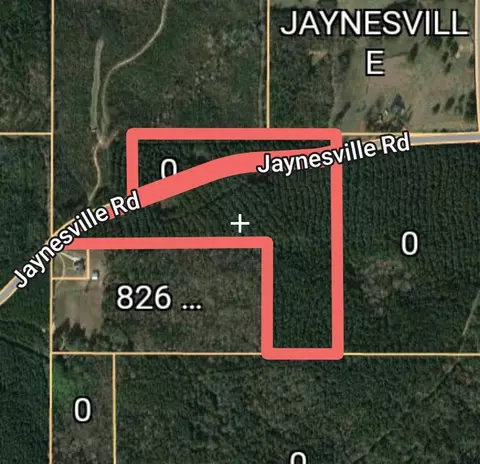 00 Jaynesville Rd, Mount Olive, MS 39119 photo 3