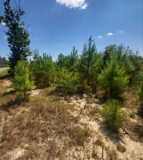 00 Jaynesville Rd, Mount Olive, MS 39119 photo 2