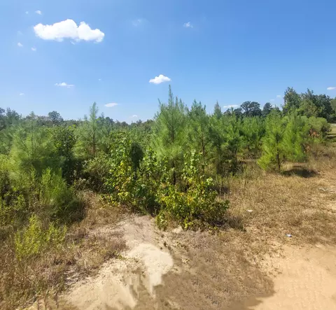 00 Jaynesville Rd, Mount Olive, MS 39119