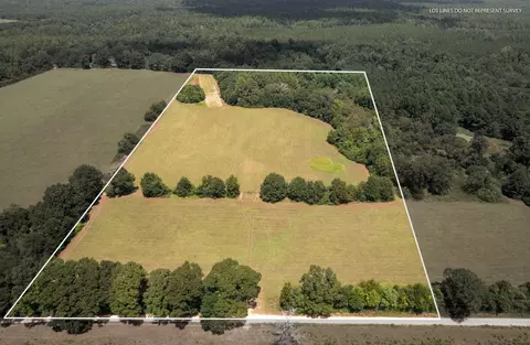 19 Acres Good Hill Rd, Lumberton, MS 39455