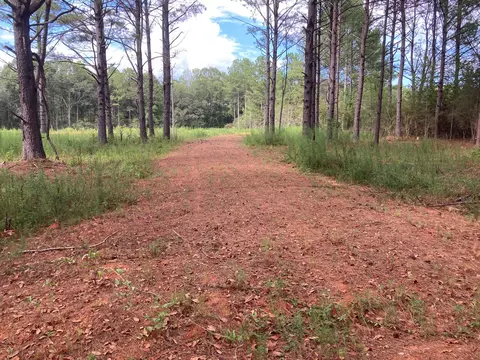 404 Ott Stanford Rd, Lumberton, MS 39455