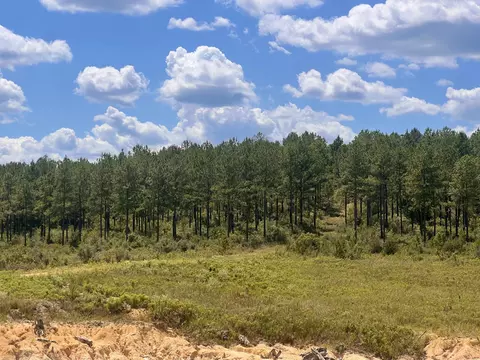 lot15 Frontier, Sumrall, MS 39482