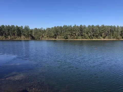 01 Bilbo Rd, Lumberton, MS 39455