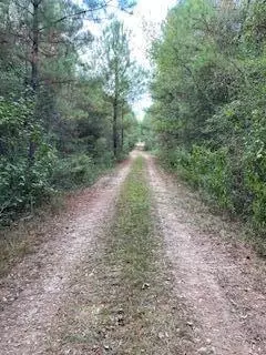 0 Tolar, Oak Vale, MS 39656 photo 30