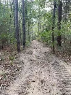 0 Tolar, Oak Vale, MS 39656 photo 25