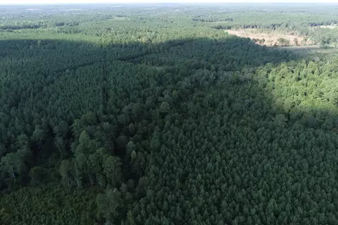 0 Tolar, Oak Vale, MS 39656 photo 8