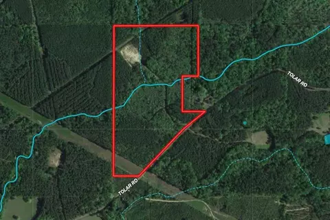 0 Tolar, Oak Vale, MS 39656 photo 17