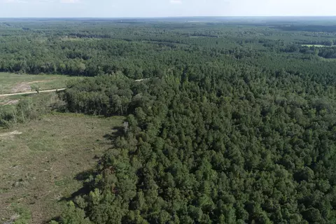 0 Tolar, Oak Vale, MS 39656 photo 10