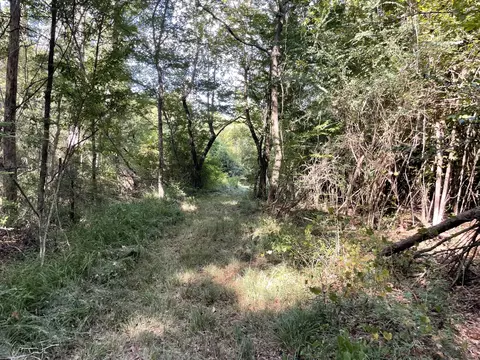 0 Tolar, Oak Vale, MS 39656 photo 16