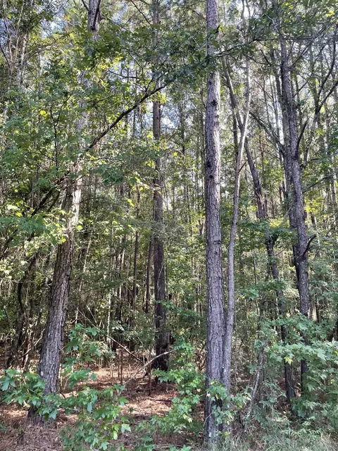 0 Tolar, Oak Vale, MS 39656 photo 15
