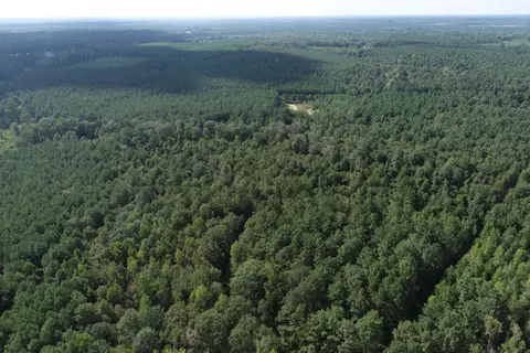 0 Tolar, Oak Vale, MS 39656 photo 6