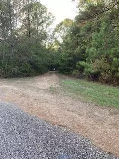 0 Tolar, Oak Vale, MS 39656 photo 31