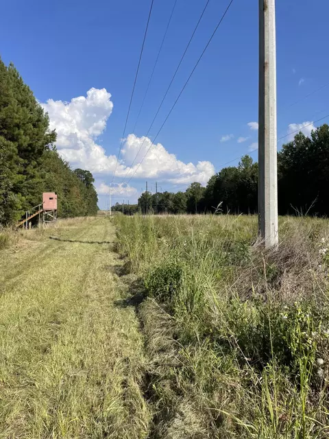 0 Tolar, Oak Vale, MS 39656 photo 14