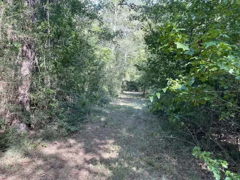 0 Tolar, Oak Vale, MS 39656 photo 12