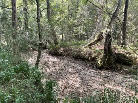 0 Tolar, Oak Vale, MS 39656 photo 11