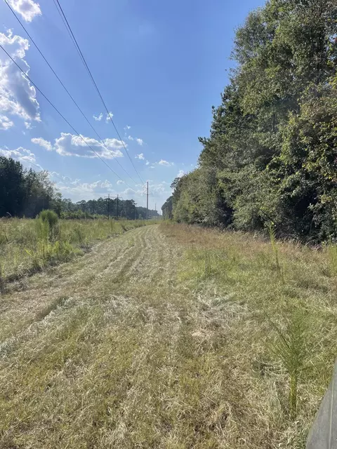 0 Tolar, Oak Vale, MS 39656 photo 13