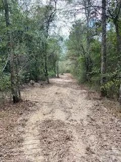 0 Tolar, Oak Vale, MS 39656 photo 20