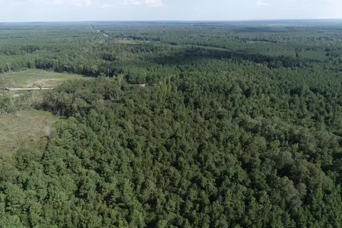0 Tolar, Oak Vale, MS 39656 photo 9