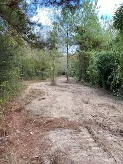 0 Tolar, Oak Vale, MS 39656 photo 28