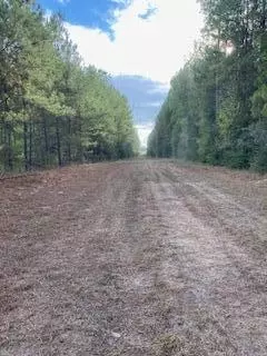 0 Tolar, Oak Vale, MS 39656 photo 24