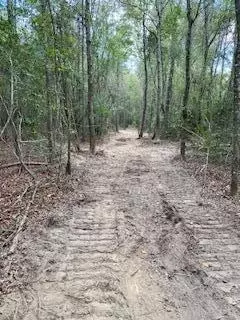 0 Tolar, Oak Vale, MS 39656 photo 21