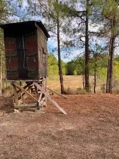 0 Tolar, Oak Vale, MS 39656 photo 23