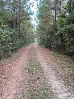 0 Tolar, Oak Vale, MS 39656 photo 29