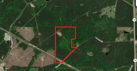 0 Tolar, Oak Vale, MS 39656 photo 19