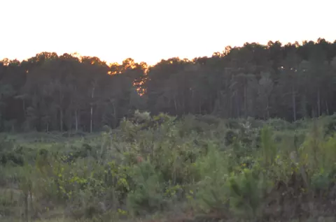 76 Ms-513, Rose Hill, MS 39356