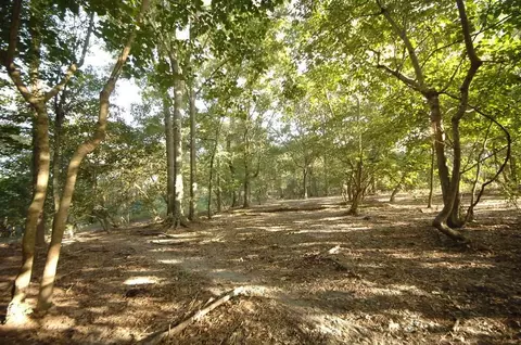 00 Stringer Rd, Columbia, MS 39429 photo 7