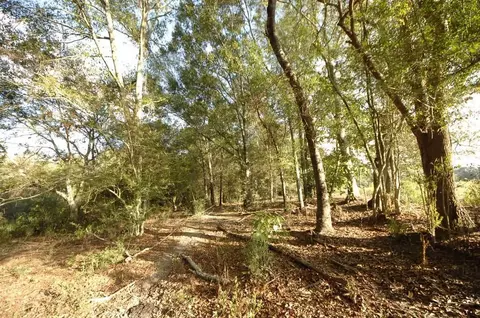 00 Stringer Rd, Columbia, MS 39429 photo 6