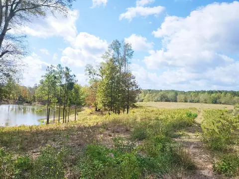 00 Carter Dees Rd, Taylorsville, MS 39168