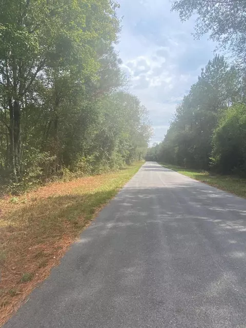 0 Delk Rd, Seminary, MS 39479