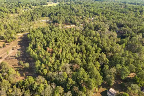 00 Davis Rd, Purvis, MS 39475 photo 16