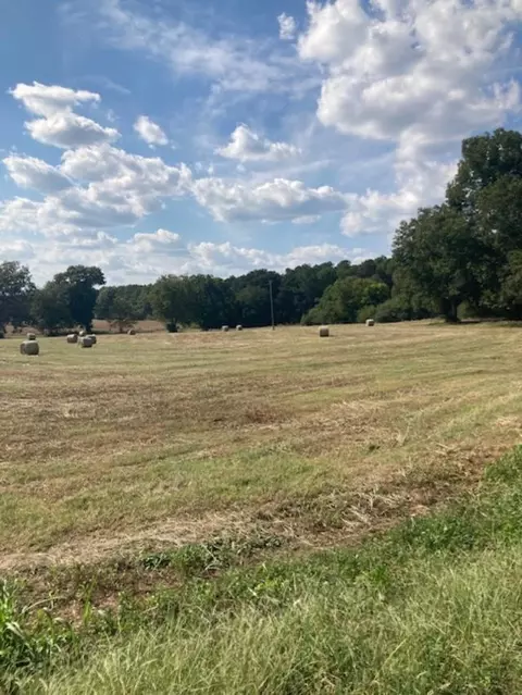 Nn Us-84, Collins, MS 39428 photo 3