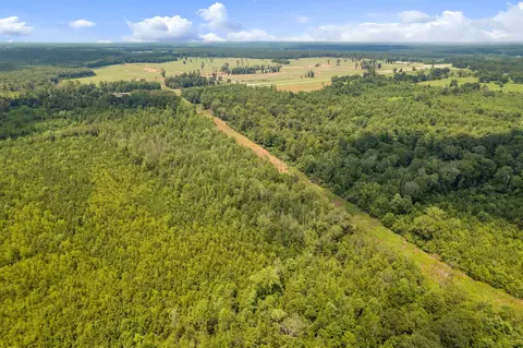 3 Us 84, Collins, MS 39428 photo 4