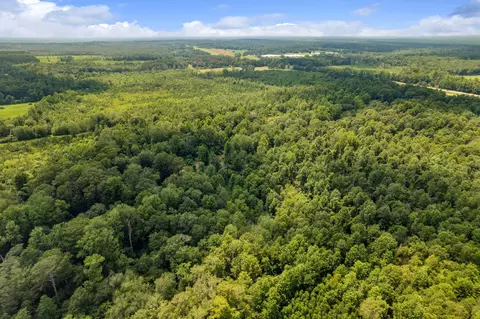 3 Us 84, Collins, MS 39428 photo 11