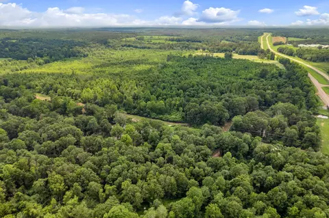 3 Us 84, Collins, MS 39428 photo 10